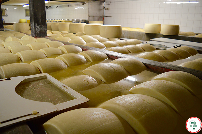 Conhecendo a produção do Parmigiano Reggiano na Itália em Parma