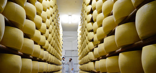 Conheça o Parmigiano Reggiano um dos melhores queijos da Itália