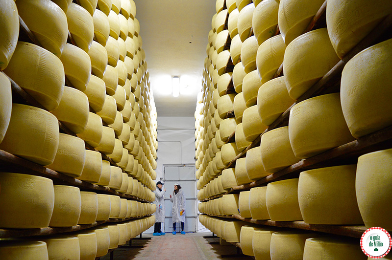 Conheça o Parmigiano Reggiano um dos melhores queijos da Itália